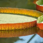 Sy genbrugelige makeup-pads og vaskepose: Nul-affald på badeværelset