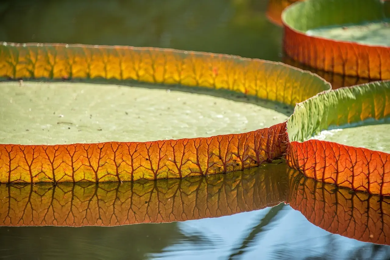 Sy genbrugelige makeup-pads og vaskepose: Nul-affald på badeværelset